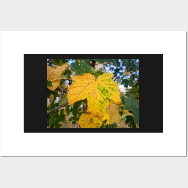 Autumn Yellow Leaf Wall Art by Anastasia-03